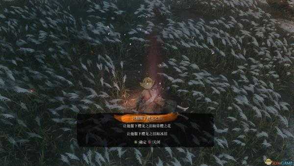 只狼全结局攻略