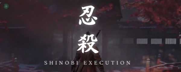 只狼用什么玩