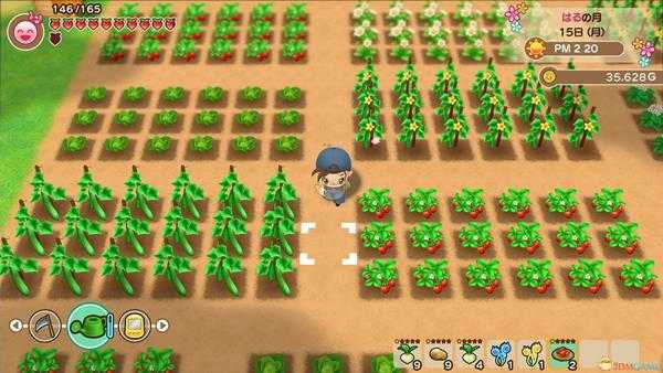 《牧场物语：重聚矿石镇》料理活用方法分享