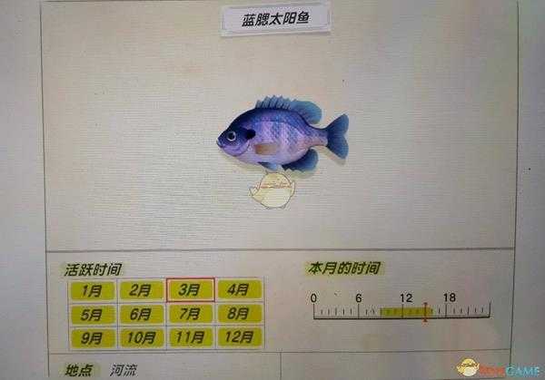 《集合啦！动物森友会》蓝腮太阳鱼活跃月份及活跃地点分享