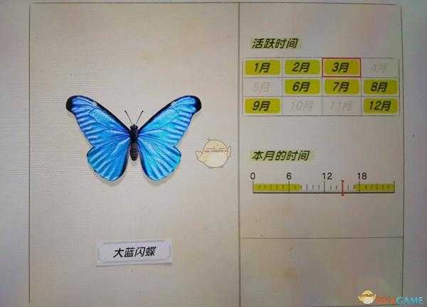 《集合啦！动物森友会》大蓝闪蝶活跃月份分享