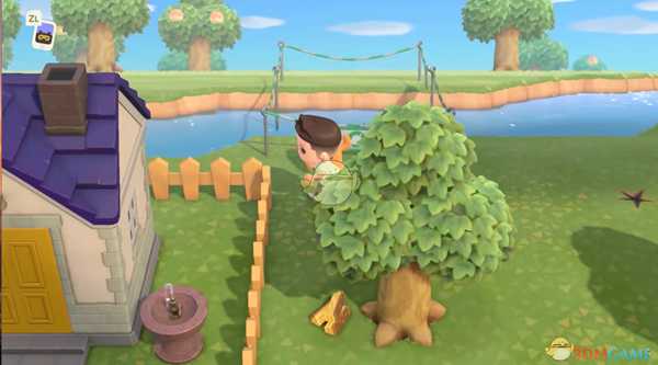 《集合啦！动物森友会》大头菜赚钱注意事项分享