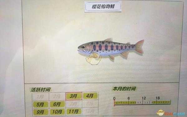 《集合啦！动物森友会》樱花钩吻鲑活跃月份及活跃地点分享