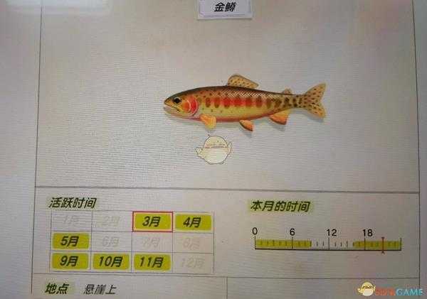 《集合啦！动物森友会》金鳟活跃月份及活跃地点分享