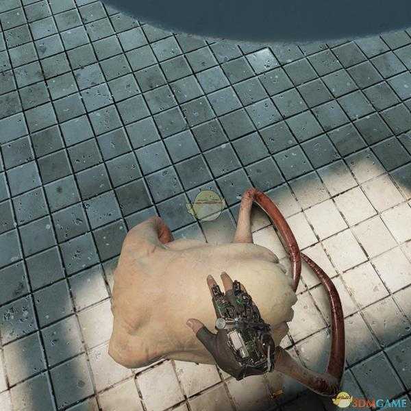 《半衰期：爱莉克斯》个人向点评