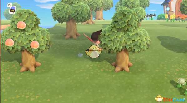 《动物森友会》金色捕虫网获得方法