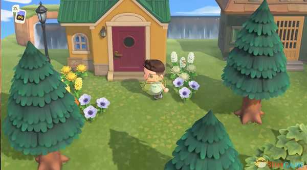 《动物森友会》树桩变化介绍
