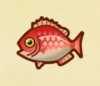 《集合啦！动物森友会》鲷鱼图鉴
