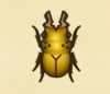 《动物森友会》黄金鬼锹形虫图鉴
