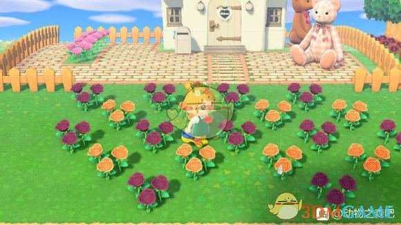 《集合啦！动物森友会》蓝玫瑰种植心得分享