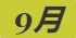 《集合啦！动物森友会》大白斑蝶图鉴