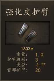 《骑马与砍杀2》阿塞莱马穆鲁克宫殿卫士装备一览 实战强度分析