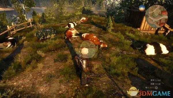 《巫师3》【无畏的吸血杀手】成就达成方法