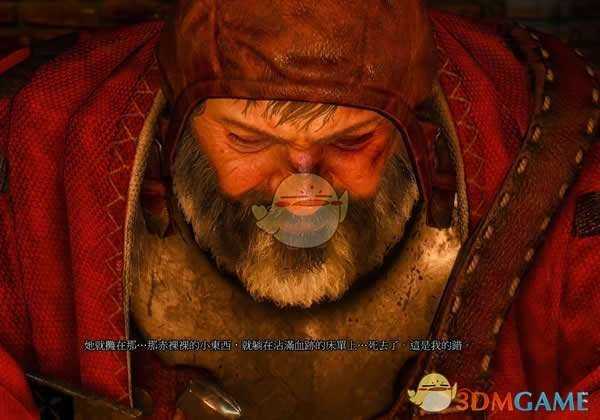 《巫师3》【家庭咨询师】成就达成方法