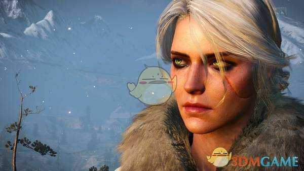 《巫师3》【未了之事】成就达成方法