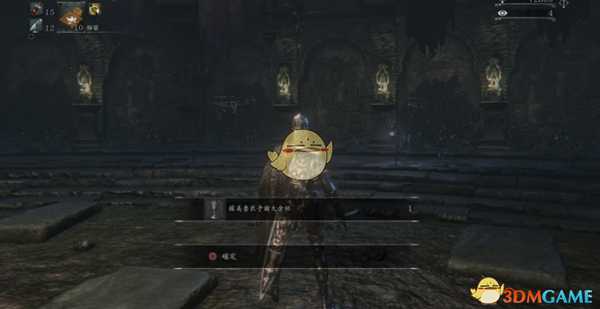 《血源诅咒》雅南苏美鲁女王奖杯达成攻略