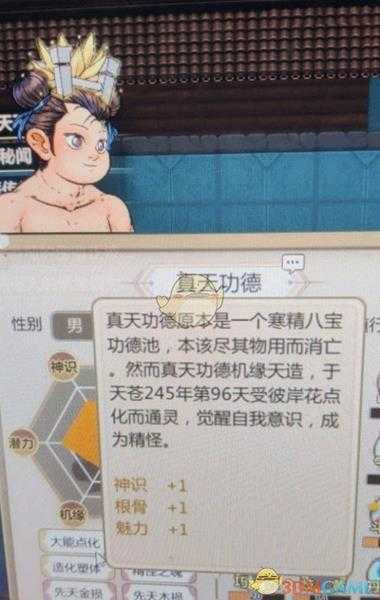 《了不起的修仙模拟器》八宝功德池点化外观一览