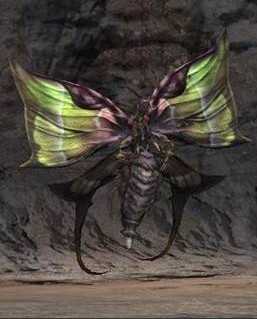 《最后的神迹》天蚕位置攻略