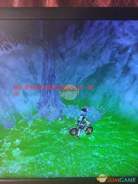 《宝可梦：剑/盾》揖礼原野地鼠位置分享