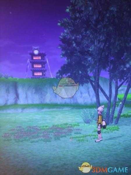 《宝可梦：剑/盾》清凉湿原地鼠位置分享