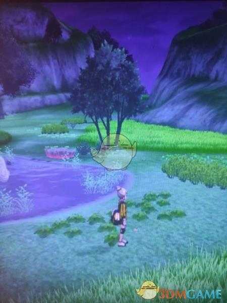 《宝可梦：剑/盾》清凉湿原地鼠位置分享