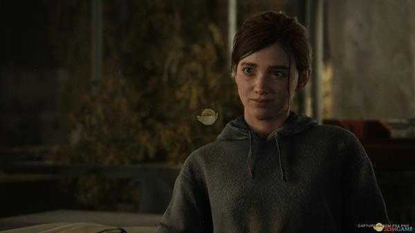 《最后的生还者2》保险箱密码分享