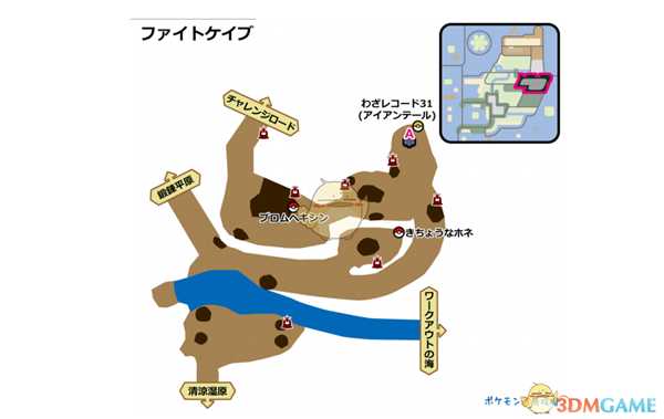 《宝可梦：剑/盾》战斗洞窟全巢穴信息一览