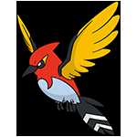 《宝可梦：剑/盾》铠之孤岛火箭雀图鉴