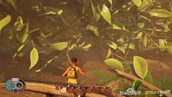 《Grounded》蓝莓树坐标分享