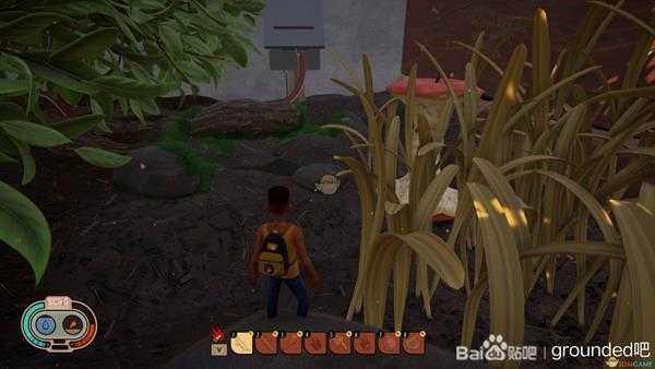 《Grounded》苹果及白蚁刷新位置介绍