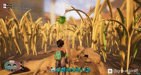 《Grounded》蚂蚁巢位置介绍