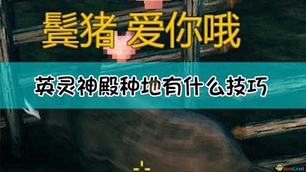《Valheim：英灵神殿》超详细养猪指南
