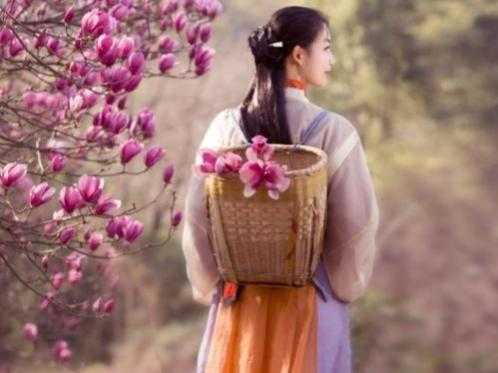 我与春风皆过客完整诗句(这句诗究竟表达什么意境)