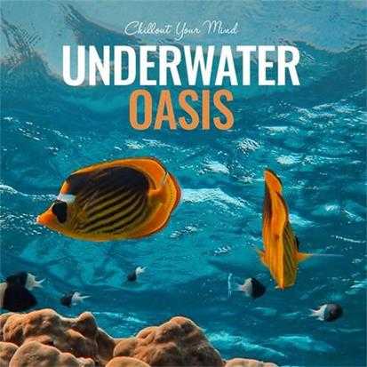 【休闲沙发】VA-2002-UnderwaterOasis:ChilloutYourMind(FLAC)