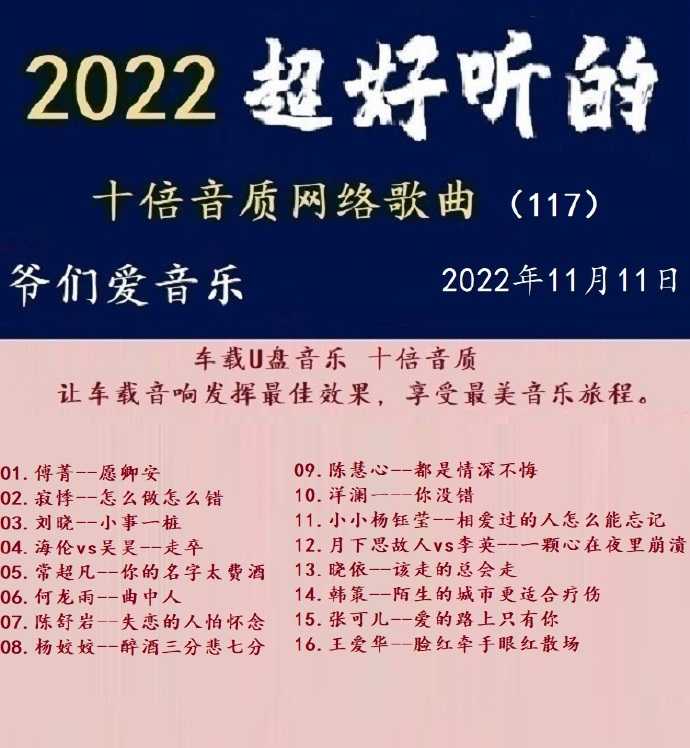 群星《2022超好听的十倍音质网络歌曲(117)》WAV分轨