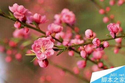 摄影入门:单反相机如何设置单反参数?