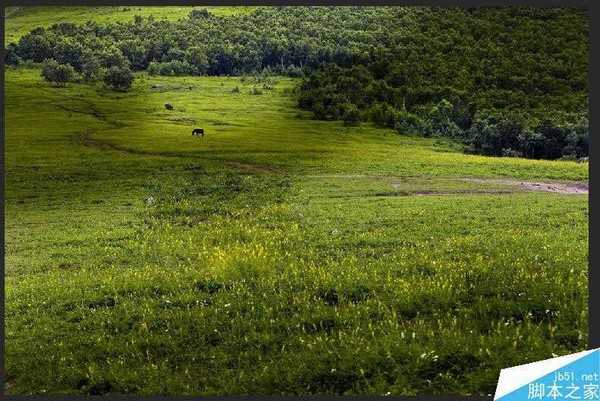 PS修补工具去除照片上不要的东西