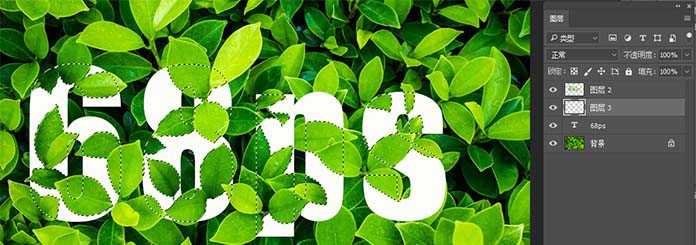ps怎么设计半隐在绿叶中的文字效果?