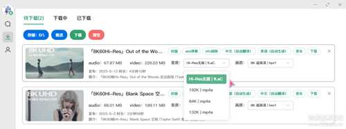 极简纯净B站视频下载器biliDown v1.0.7,支持8K+Hi-Res音效及字幕、刮削