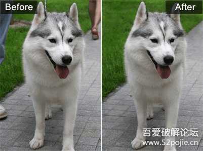 Free Clone Stamp Tool – 小巧的的克隆图章工具