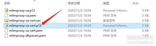 视频号下载利器 video server 1.0.2,含教程